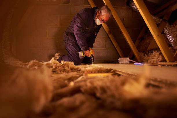 Best Insulation Maintenance and Repair in Plainsboro Center, NJ